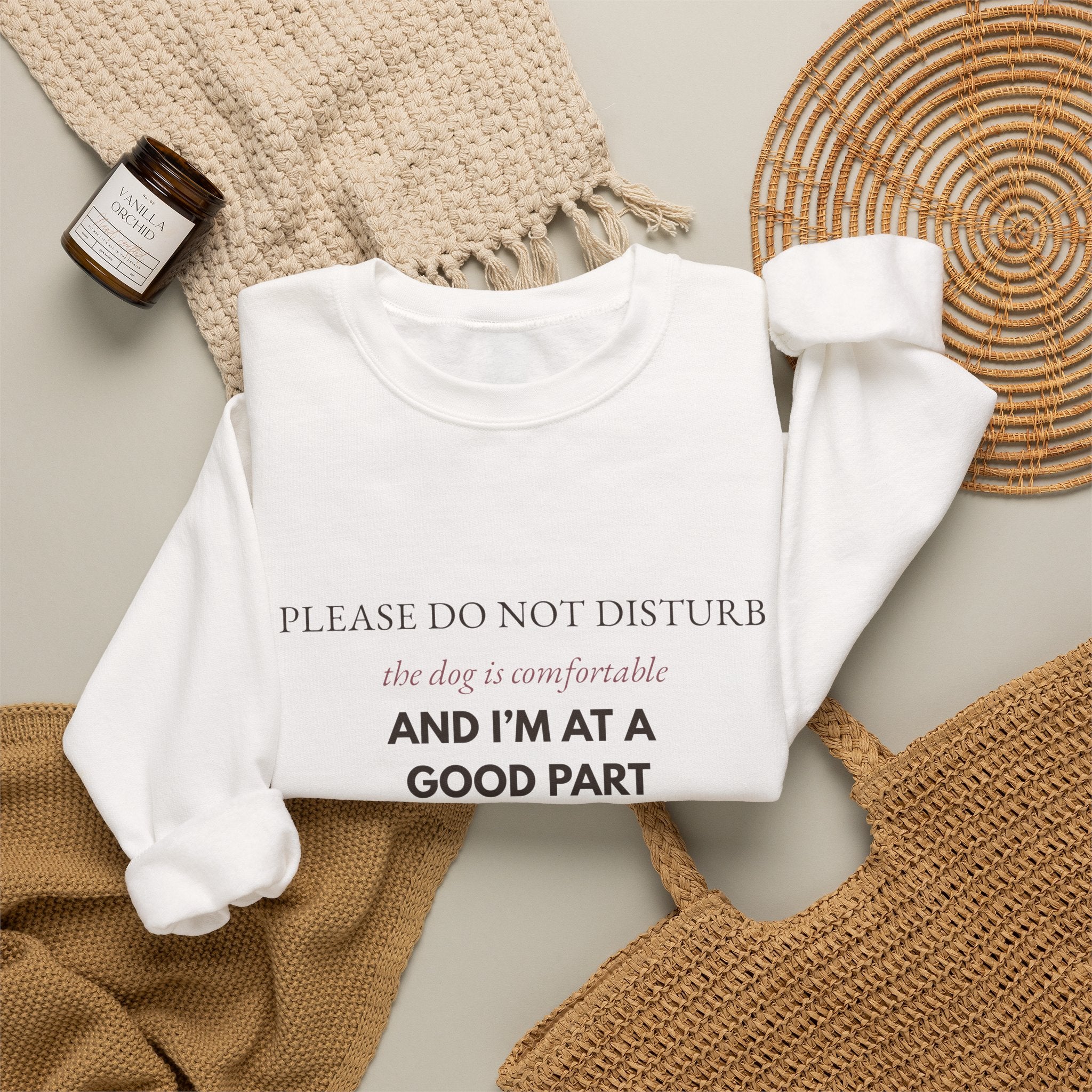 Dog & Book Lover Sweatshirt — Please Do Not Disturb