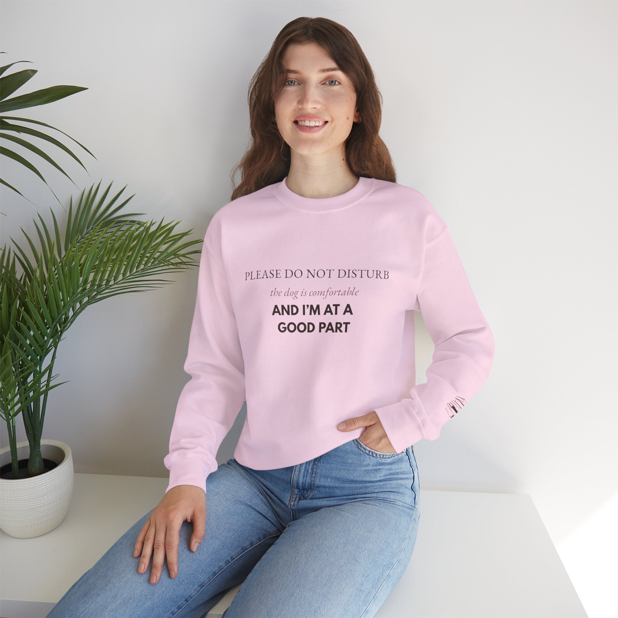 Dog & Book Lover Sweatshirt — Please Do Not Disturb