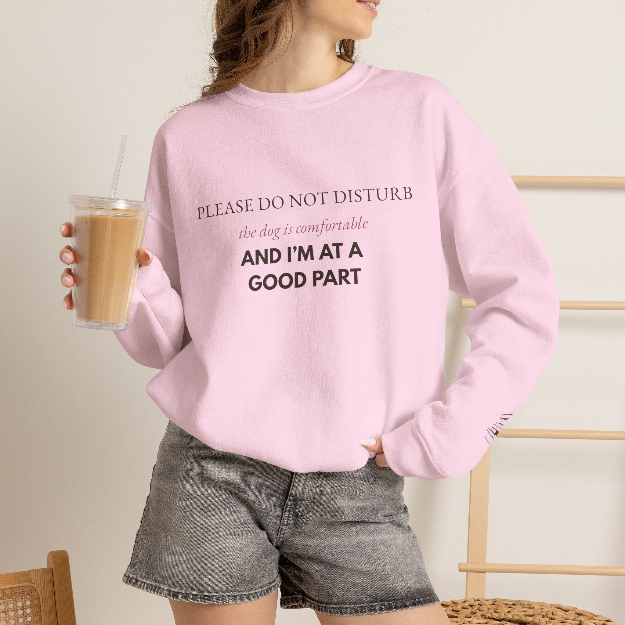 Dog & Book Lover Sweatshirt — Please Do Not Disturb