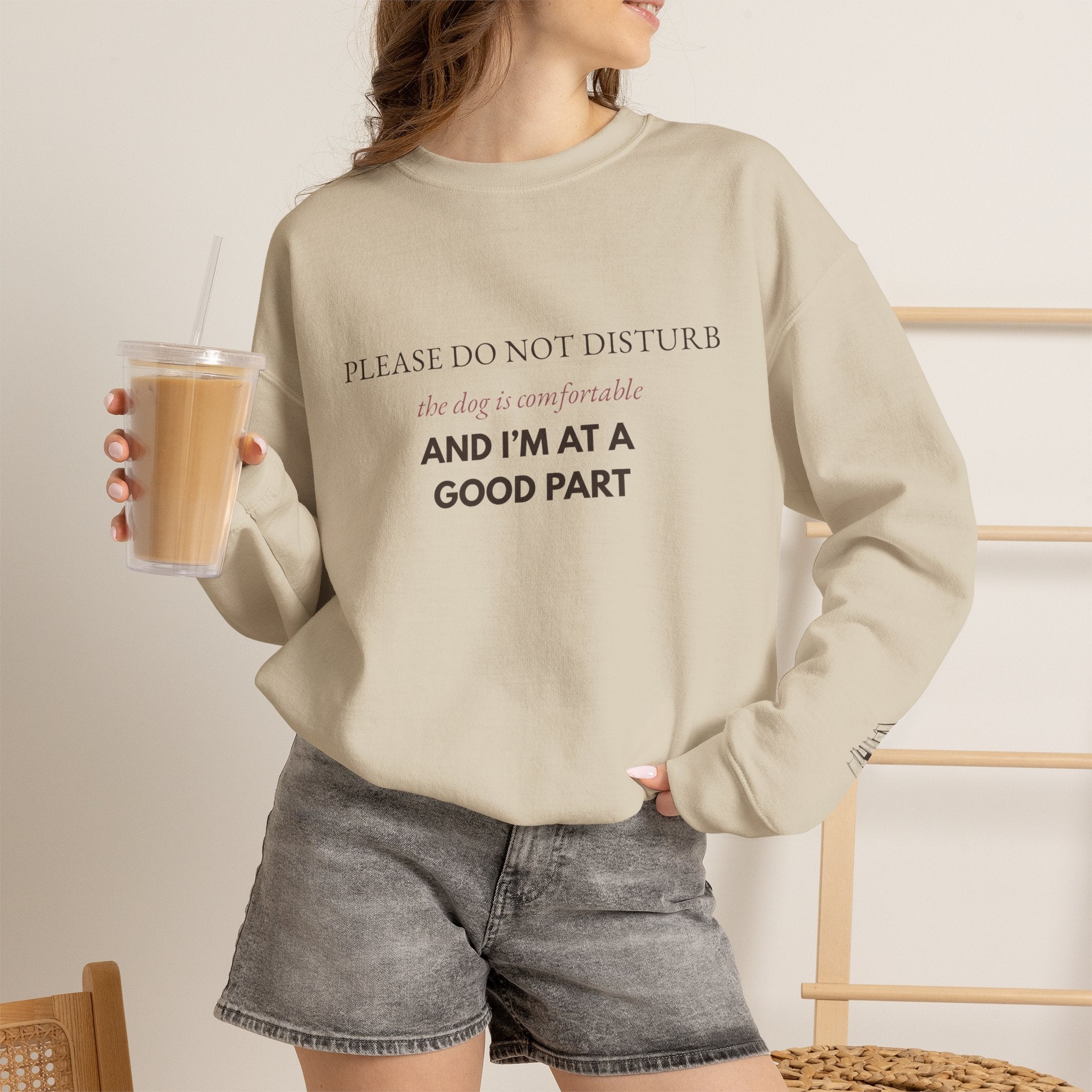Dog & Book Lover Sweatshirt — Please Do Not Disturb