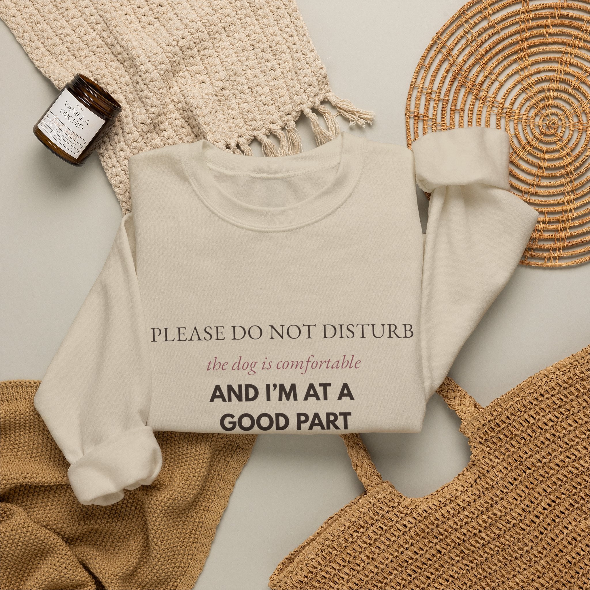 Dog & Book Lover Sweatshirt — Please Do Not Disturb