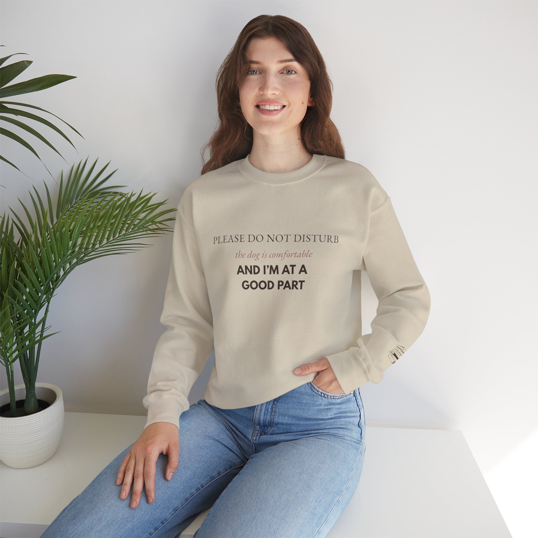 Dog & Book Lover Sweatshirt — Please Do Not Disturb