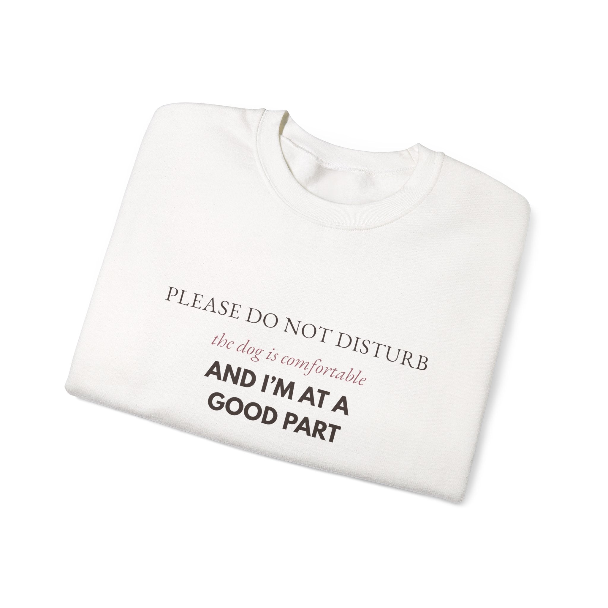 Dog & Book Lover Sweatshirt — Please Do Not Disturb